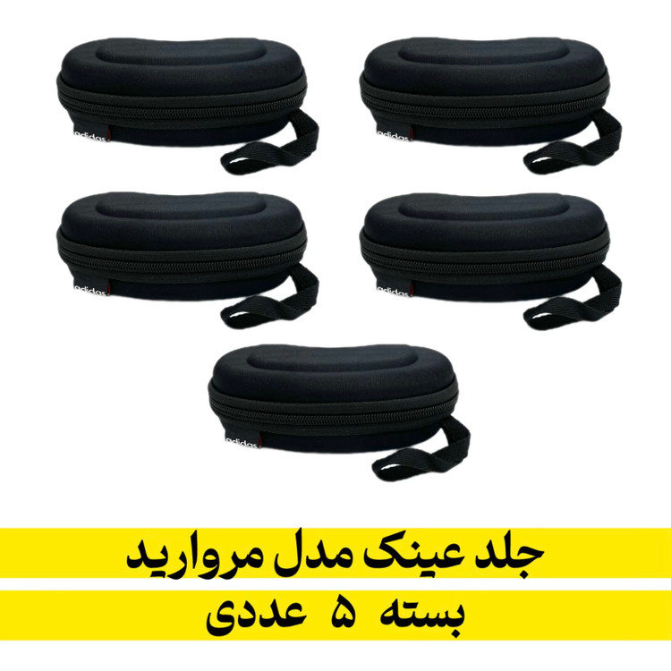 جلد زیپی عینک مدل مروارید بسته ۵ عددی